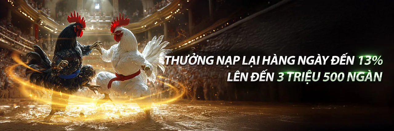 Sân đấu đá gà kịch tính tại shbet0 nhà cái