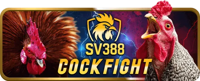 Cá cược thể thao shbet0 nhà cái